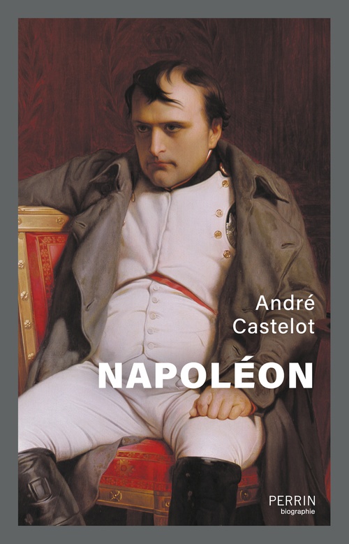 ebook cover of Napoléon, by André Castelot