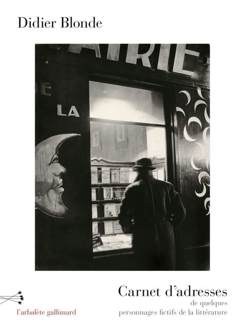 ebook cover of Carnet d'adresses de quelques personnages fictifs de la littérature, by Didier Blonde
