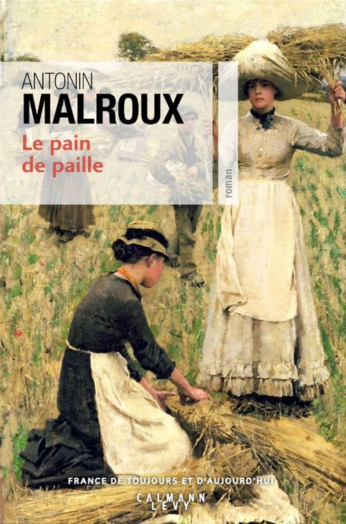 ebook cover of Le Pain de paille, by Antonin Malroux