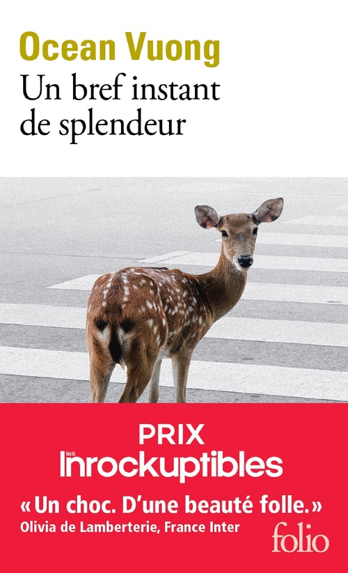 ebook cover of Un bref instant de splendeur, by Ocean Vuong