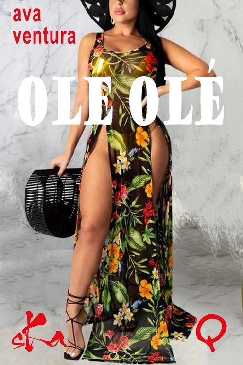 ebook cover of Olé Olé, by Ava Ventura