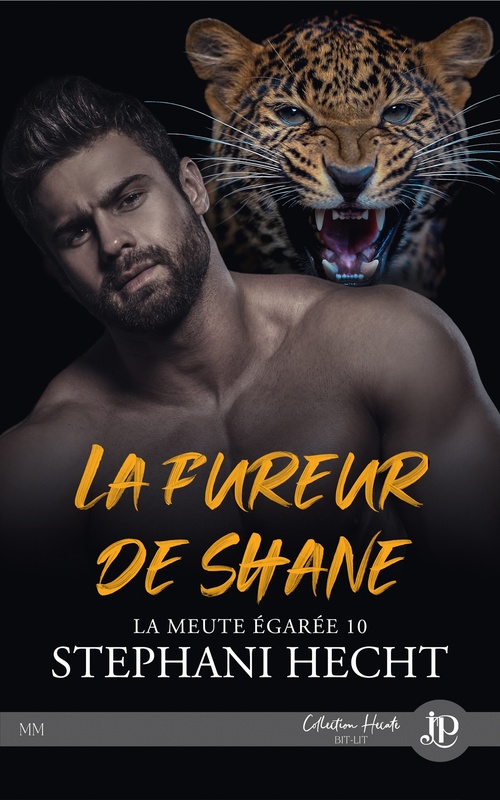 Couverture ebook de La fureur de Shane, de Stephani Hecht