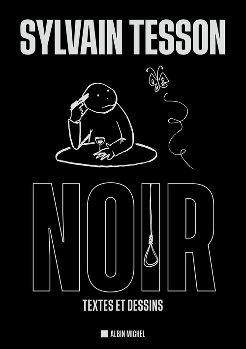 ebook cover of Noir, by