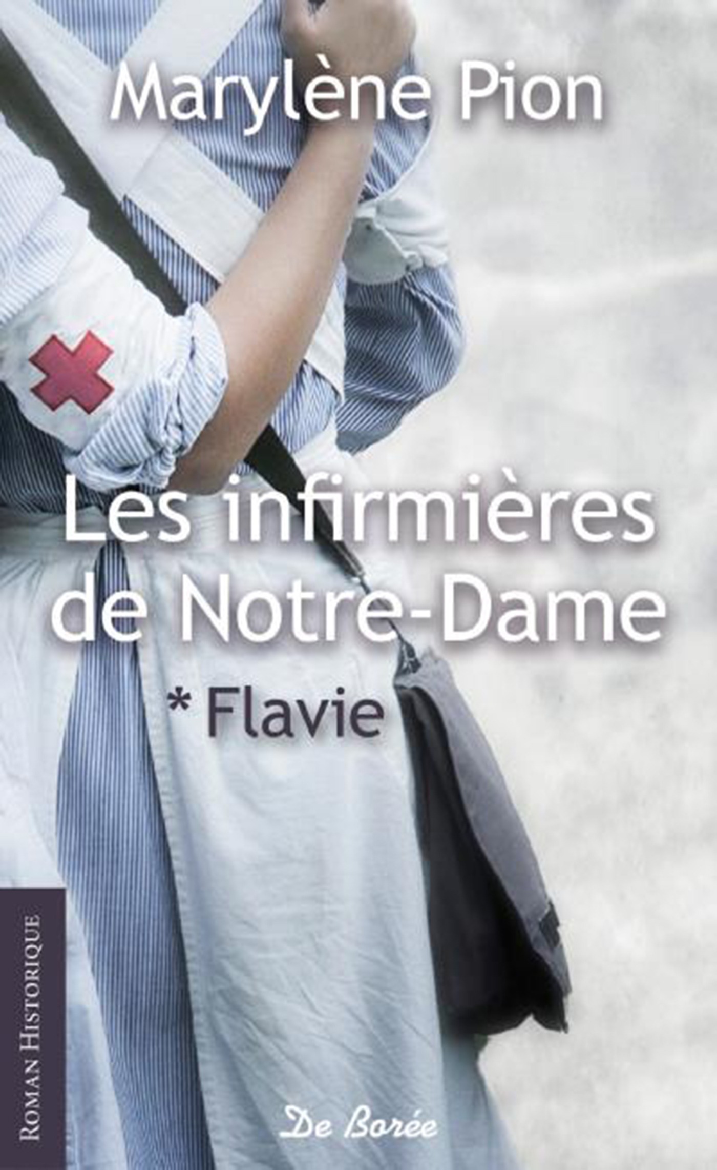 ebook cover of Les Infirmières de Notre-Dame, by Marylène Pion