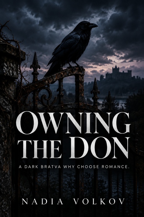 Couverture ebook de Owning the Don, de Nadia Volkov