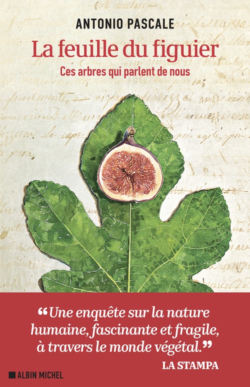 Couverture ebook de La Feuille du figuier, de Antonio Pascale