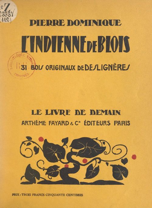ebook cover of L'Indienne de Blois, by Dominique Pierre
