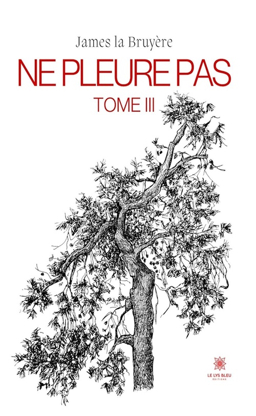 Couverture ebook de Ne pleure pas - Tome 3, de James la Bruyère