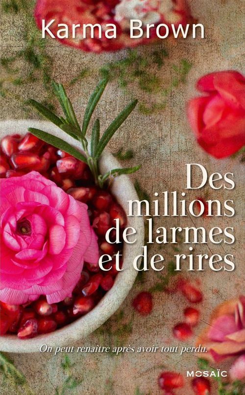 Couverture ebook de Des millions de larmes et de rires, de Karma Brown