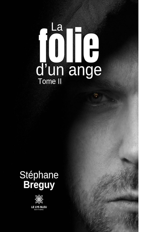 ebook cover of La folie d'un ange - Tome 2, by Stéphane Breguy