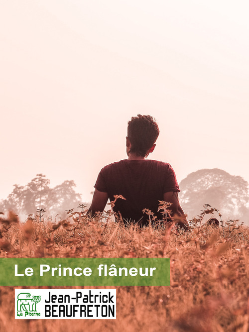 Couverture ebook de Le Prince flâneur, de Jean-patrick Beaufreton