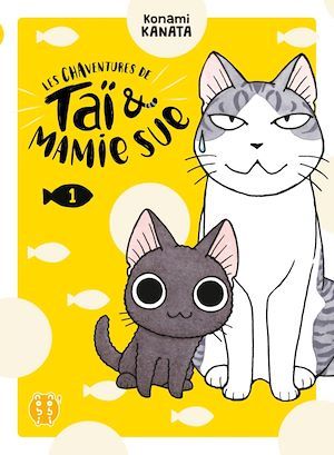 Couverture ebook de Les Chaventures de Taï et Mamie Sue T01, de Kanata Konami