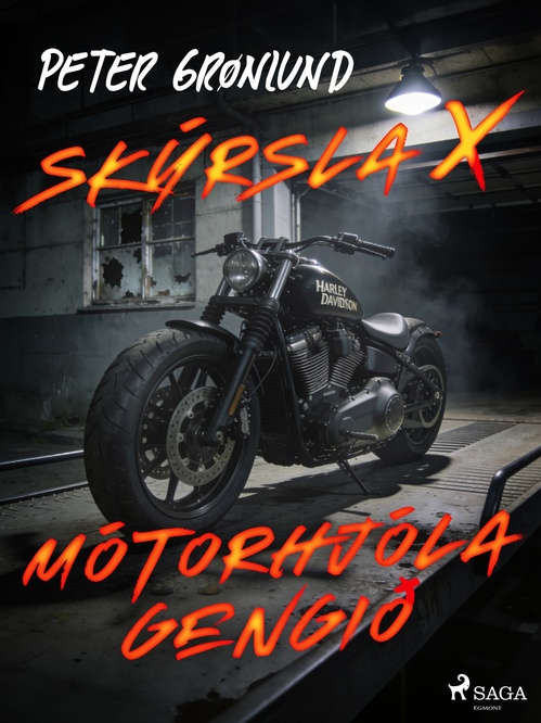 ebook cover of Skýrsla X - Mótorhjólagengið, by Peter Gronlund