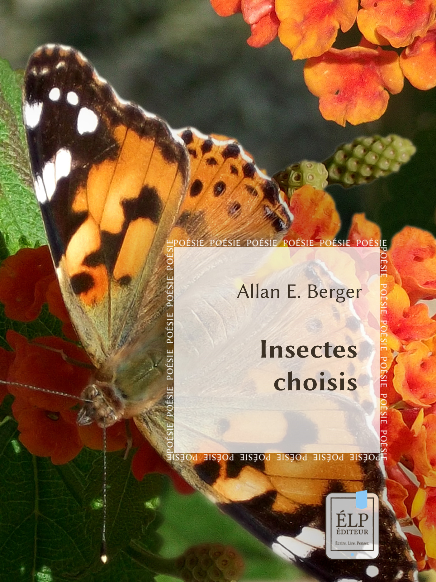 ebook cover of Insectes choisis, by Allan E. Berger