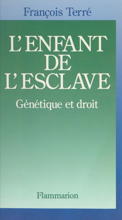 Couverture ebook de L'enfant de l'esclave, de François Terré