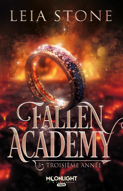 ebook cover of Troisième année, by Leia Stone