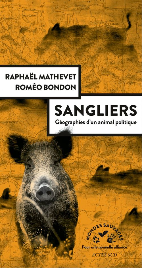 Couverture ebook de Sangliers, géographies d'un animal politique, de Roméo Bondon, Raphaël Mathevet