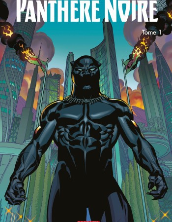 ebook cover of La panthère noire (2016) T01, by Ta-Nehisi Coates, Brian Stelfreeze