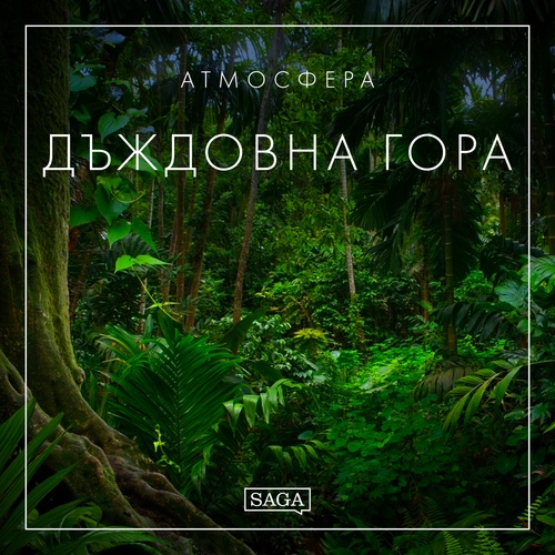 audiobook cover of -, by Rasmus Broe