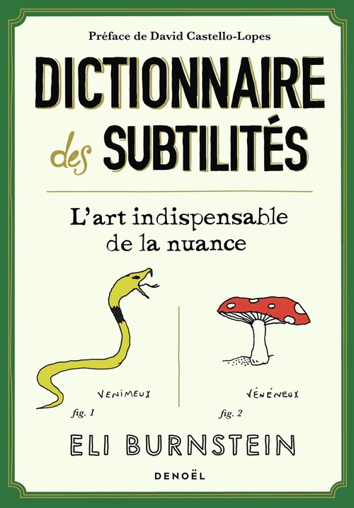 ebook cover of Dictionnaire des subtilités. L'art indispensable de la nuance, by Eli Burnstein