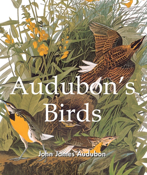 Couverture ebook de Audubon's Birds, de John James Audubon