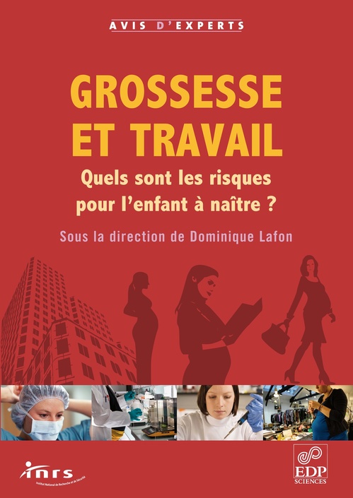 ebook cover of Grossesse et travail, by Dominique Lafon