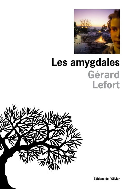 Couverture ebook de Les Amygdales, de Gérard Lefort