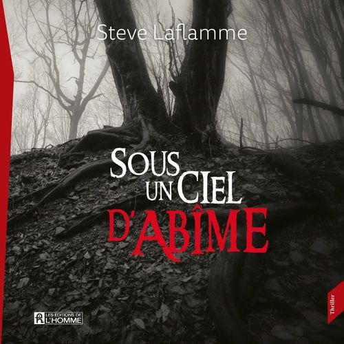audiobook cover of Sous un ciel d'abîme, by Steve Laflamme