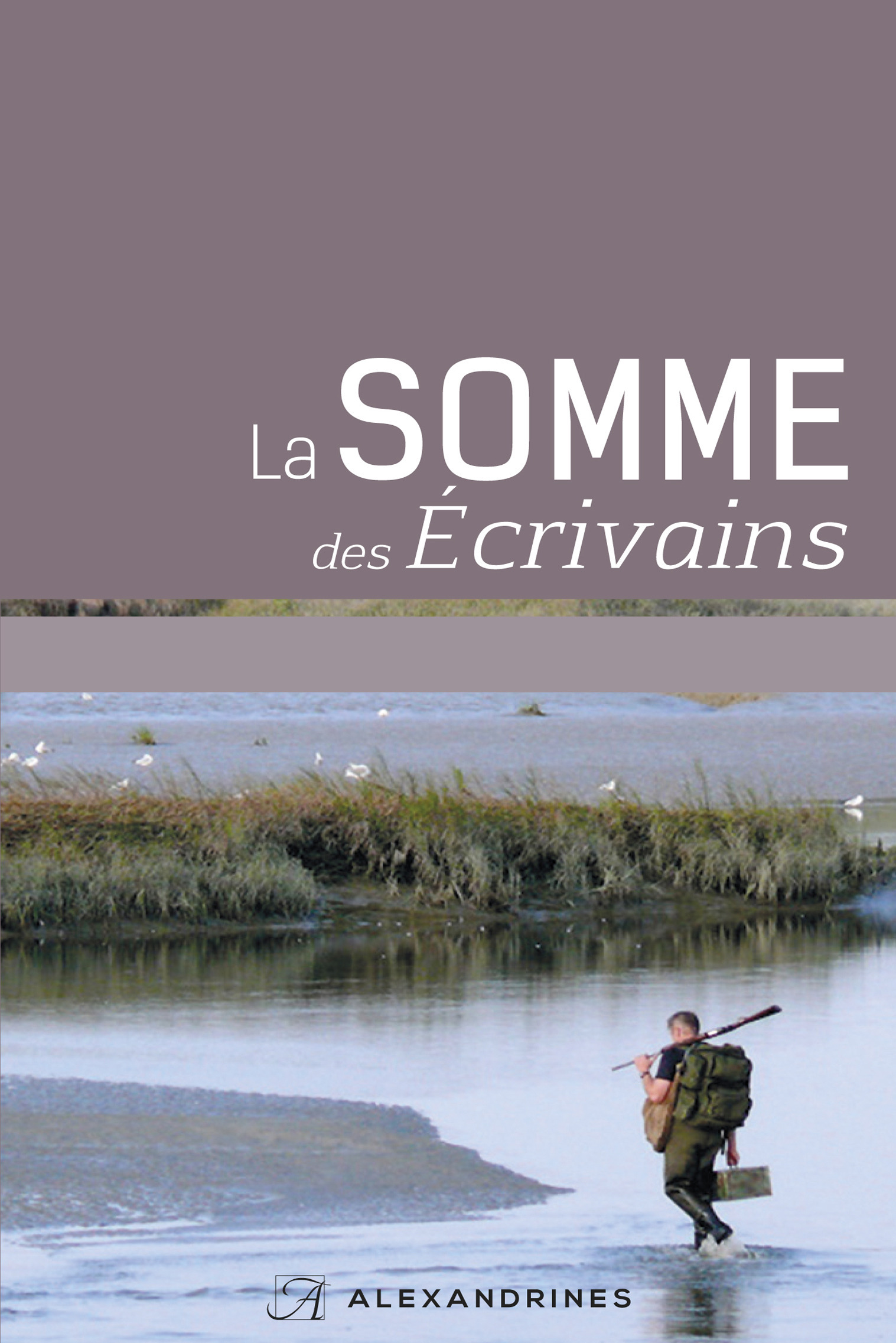 ebook cover of La Somme des écrivains, by Collectif