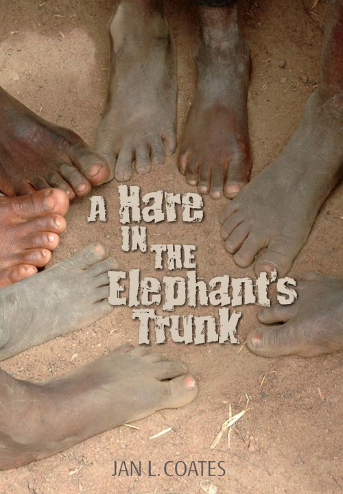 ebook cover of A Hare in the Elephant´s Trunk, by Jan L Coates