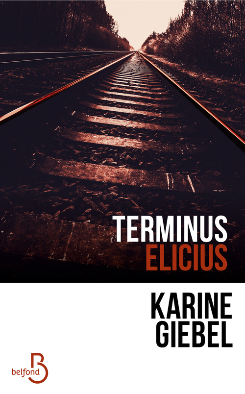 Couverture ebook de Terminus Elicius, de Karine Giébel