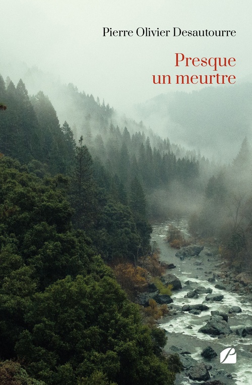 Couverture ebook de Presque un meurtre, de Pierre Olivier Desautourre