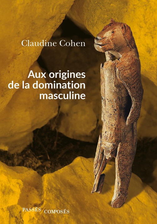 Couverture ebook de Aux origines de la domination masculine, de Claudine Cohen
