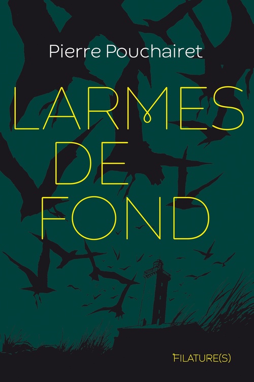 Couverture ebook de Larmes de fond, de Pierre Pouchairet