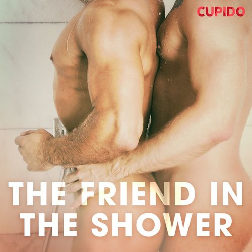 audiobook cover of The Friend in the Shower, by Cupido And Others