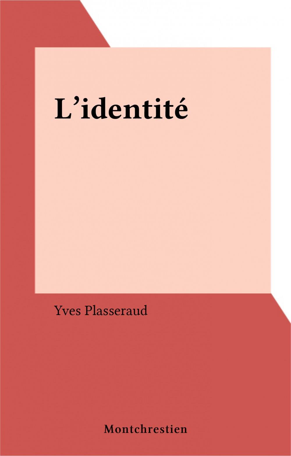 ebook cover of L'identité, by Yves Plasseraud