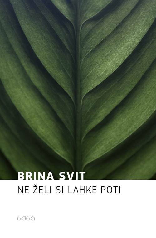 ebook cover of Ne zeli si lahke poti, by Brina Svit