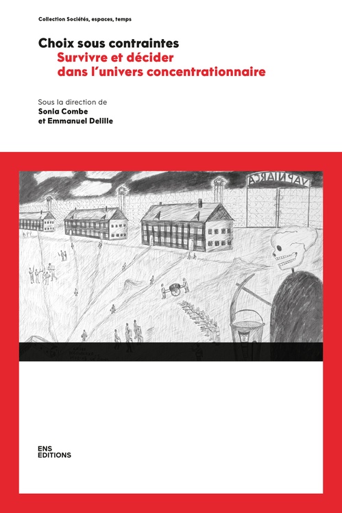 ebook cover of Choix sous contraintes, by