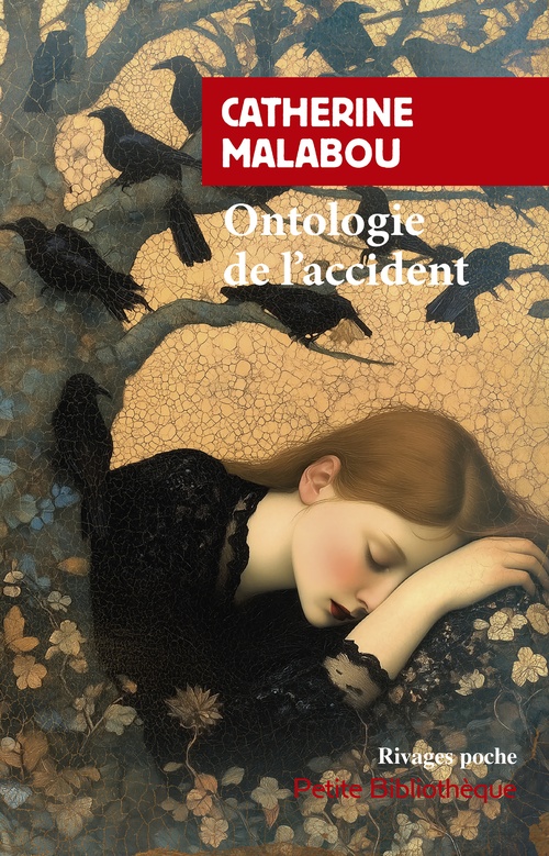 ebook cover of Ontologie de l'accident, by Catherine Malabou
