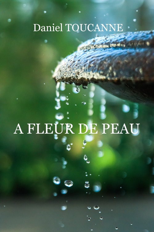 ebook cover of A fleur de peau, by Daniel TOUCANNE