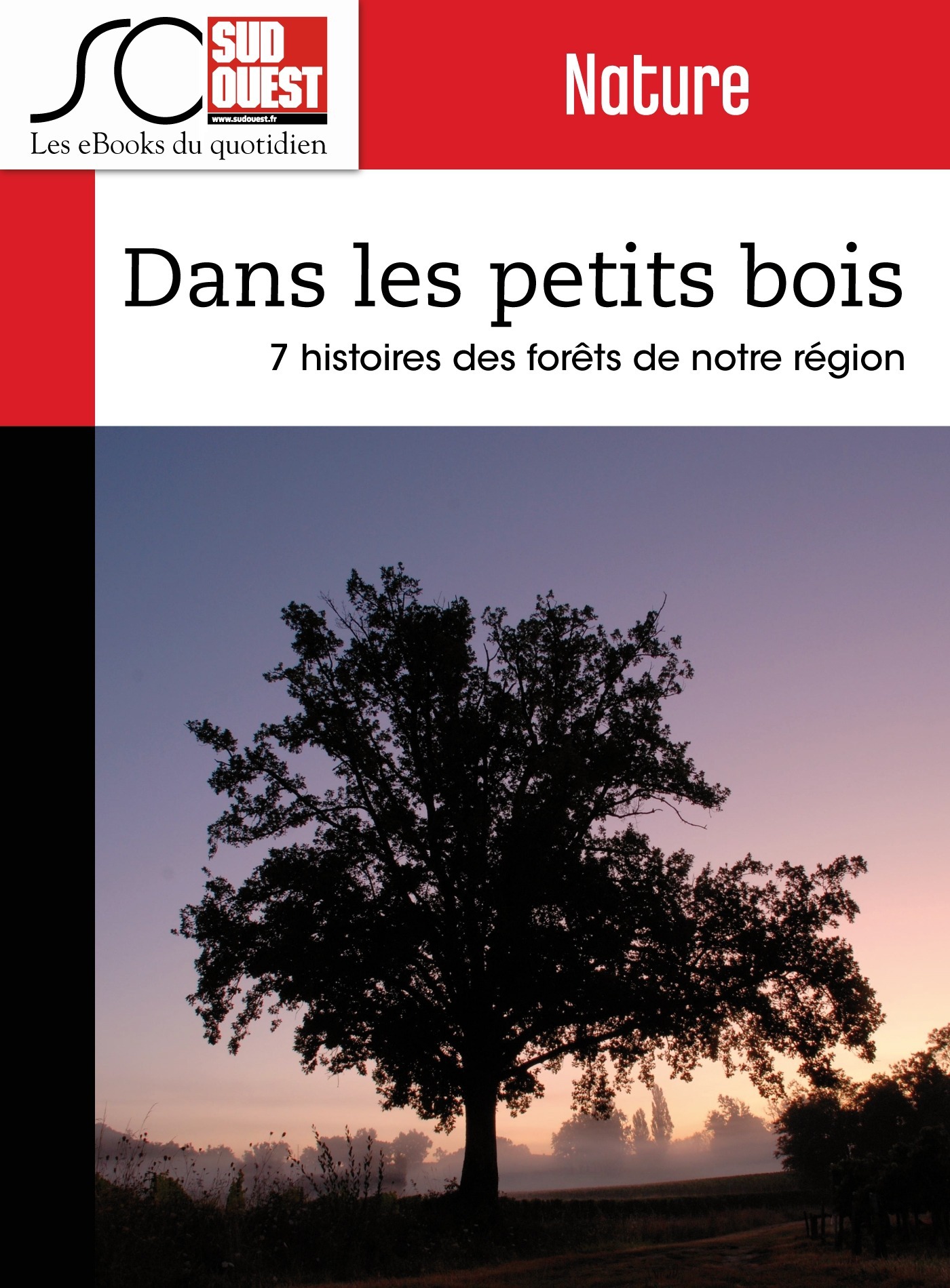 ebook cover of Dans les petits bois, by Pierre Tillinac
