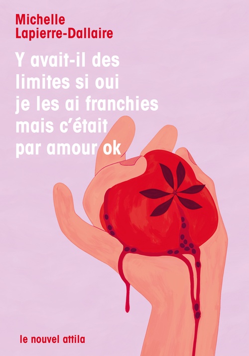 Couverture ebook de Y avait-il des limites si oui je les ai franchies mais c'était par amour ok, de Michelle Lapierre-Dallaire