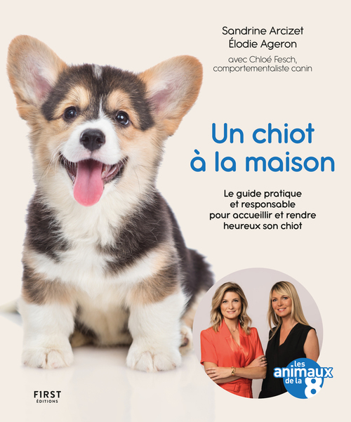 ebook cover of Un chiot à la maison - Animaux de la 8, by Elodie Ageron, Sandrine Arcizet