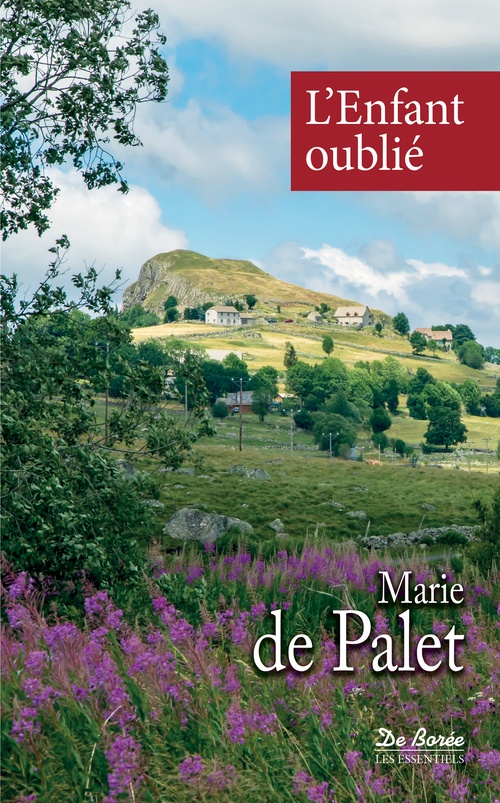 Couverture ebook de L'Enfant oublié, de Marie de Palet