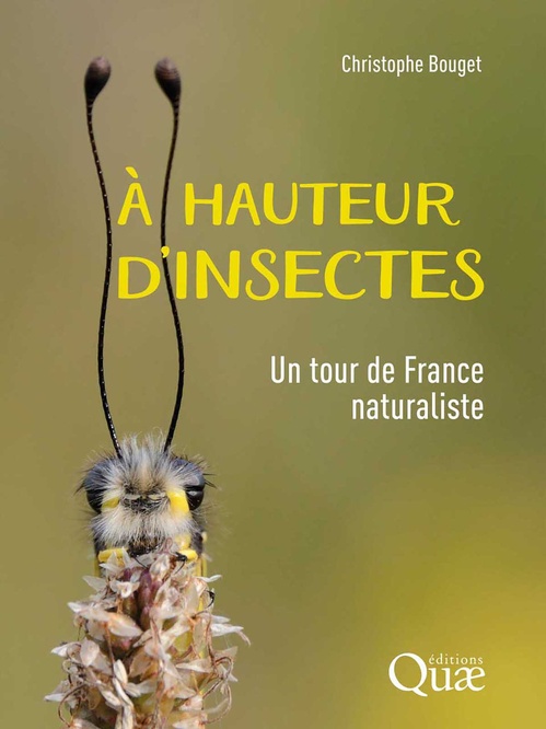 Couverture ebook de À hauteur d'insectes, de Christophe Bouget
