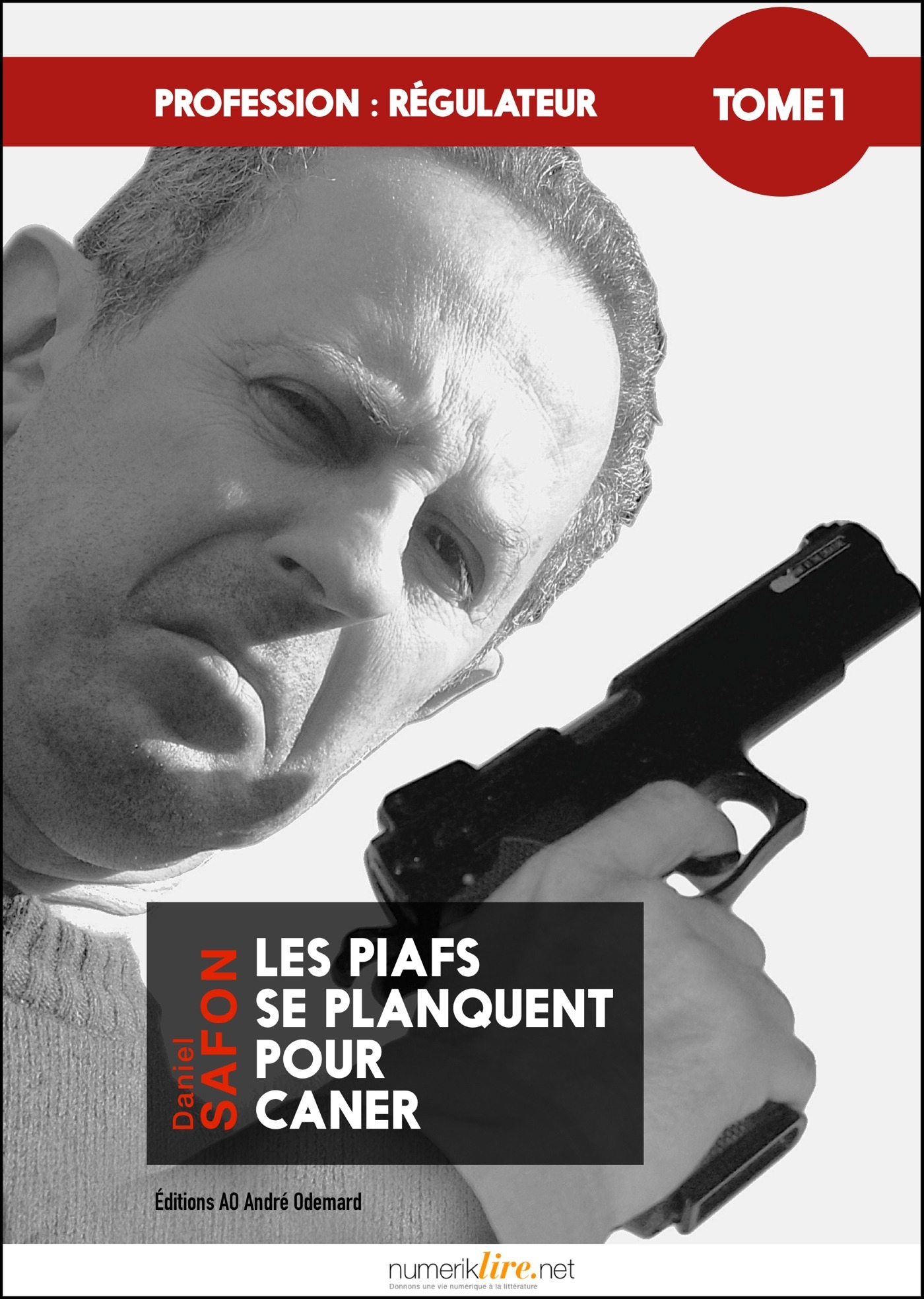 ebook cover of Profession : régulateur, tome 1, by Daniel Safon