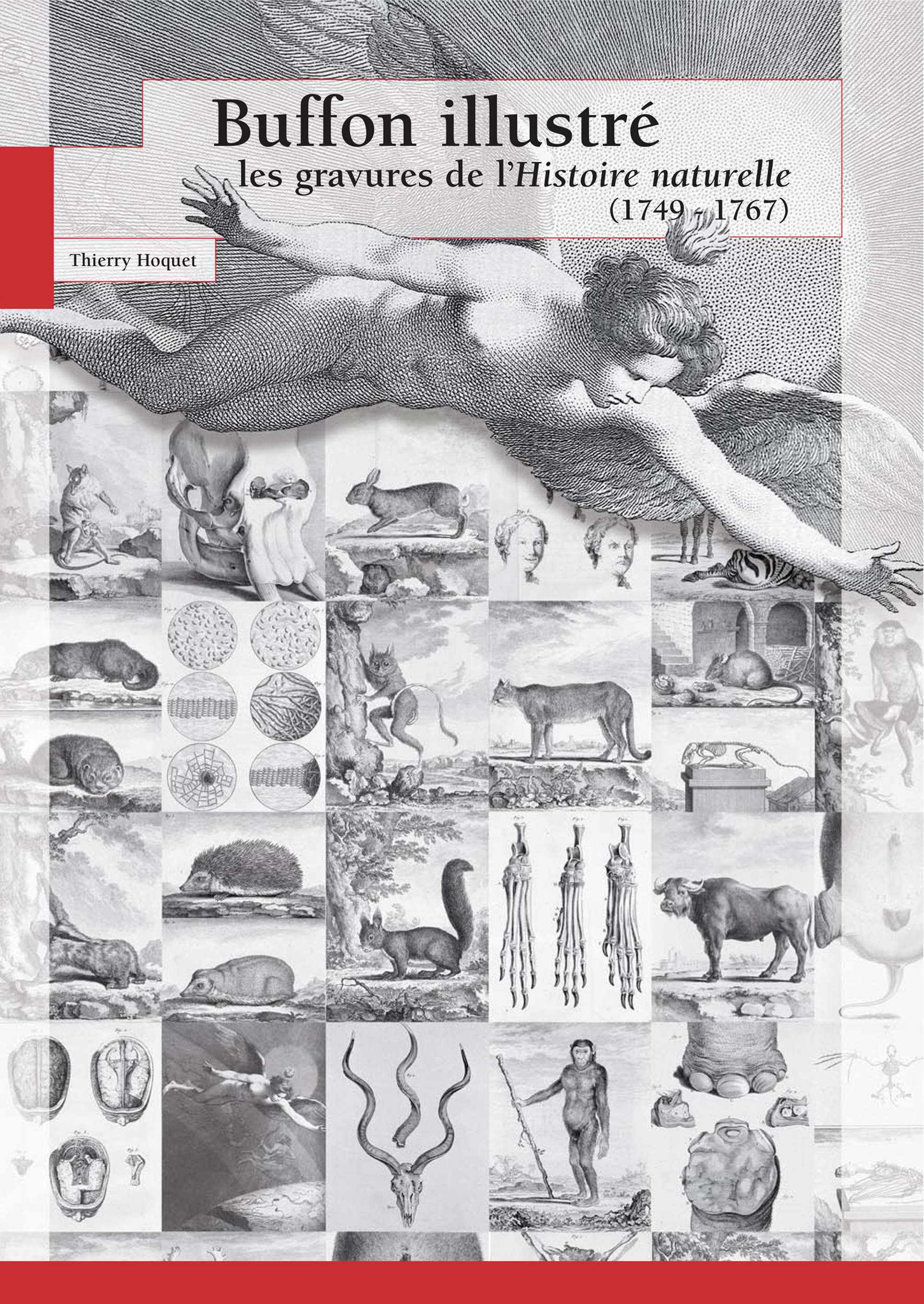 Couverture ebook de Buffon illustré, de Thierry Hoquet