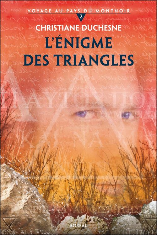 ebook cover of L' énigme des triangles, by Christiane Duchesne