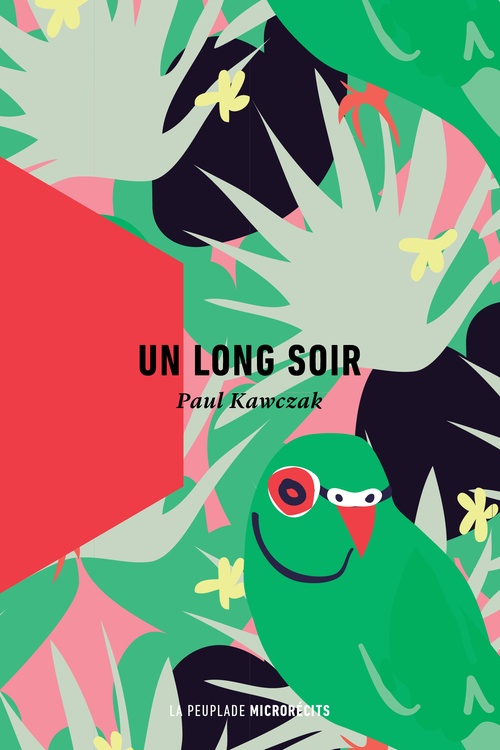 ebook cover of Un long soir, by Paul Kawczak