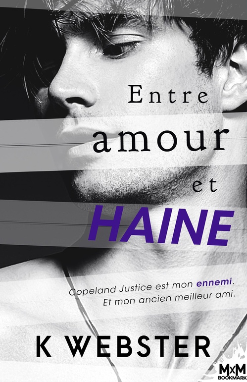ebook cover of Entre amour et haine, by K. Webster